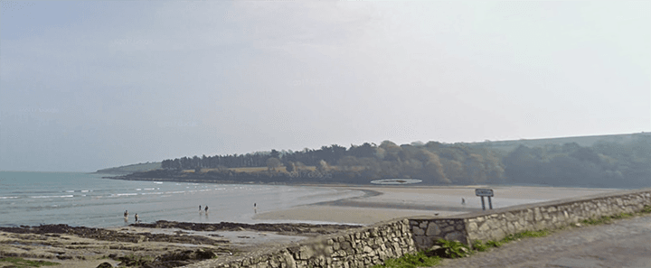 Locals shocked at dead dolphin found on Fountainstown Beach 