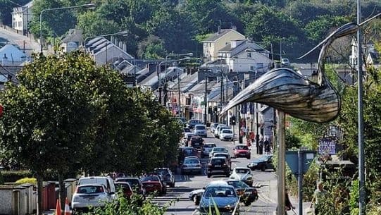 Climate Change: The Challenge for Carrigaline