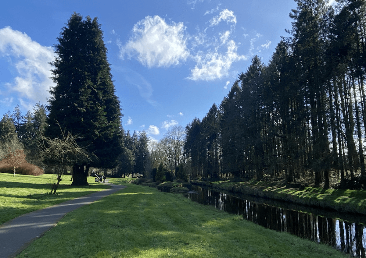 Castlerea Demesne Trail 