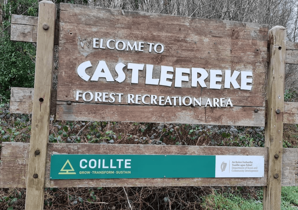 Castlefreke Woods Short Loop Walk