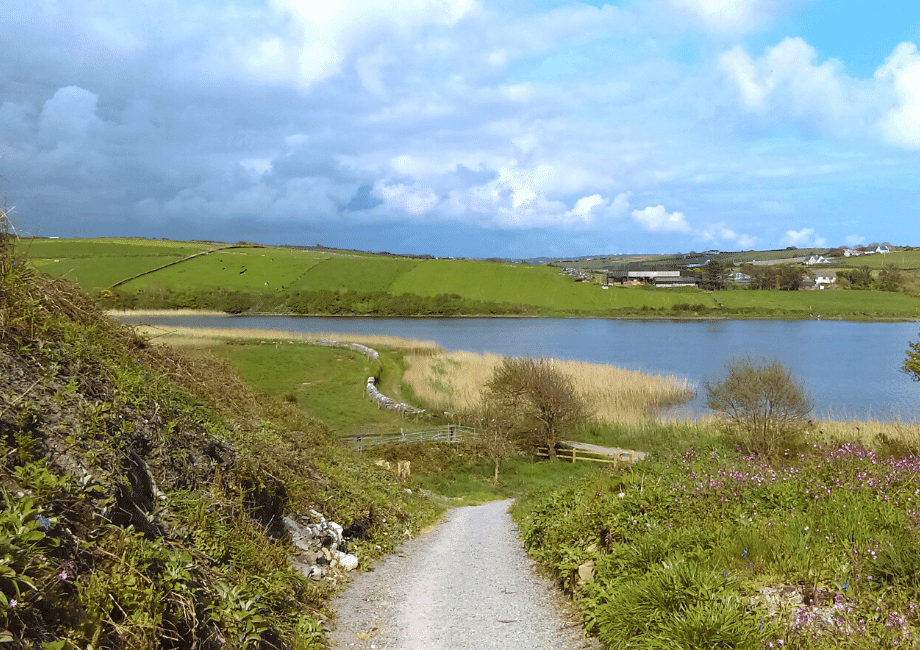 Castlefreke Long Walk (Rathbarry, Kilkern Lake, Long Strand, Lord Carbery Cross, Castlefreke Castle)