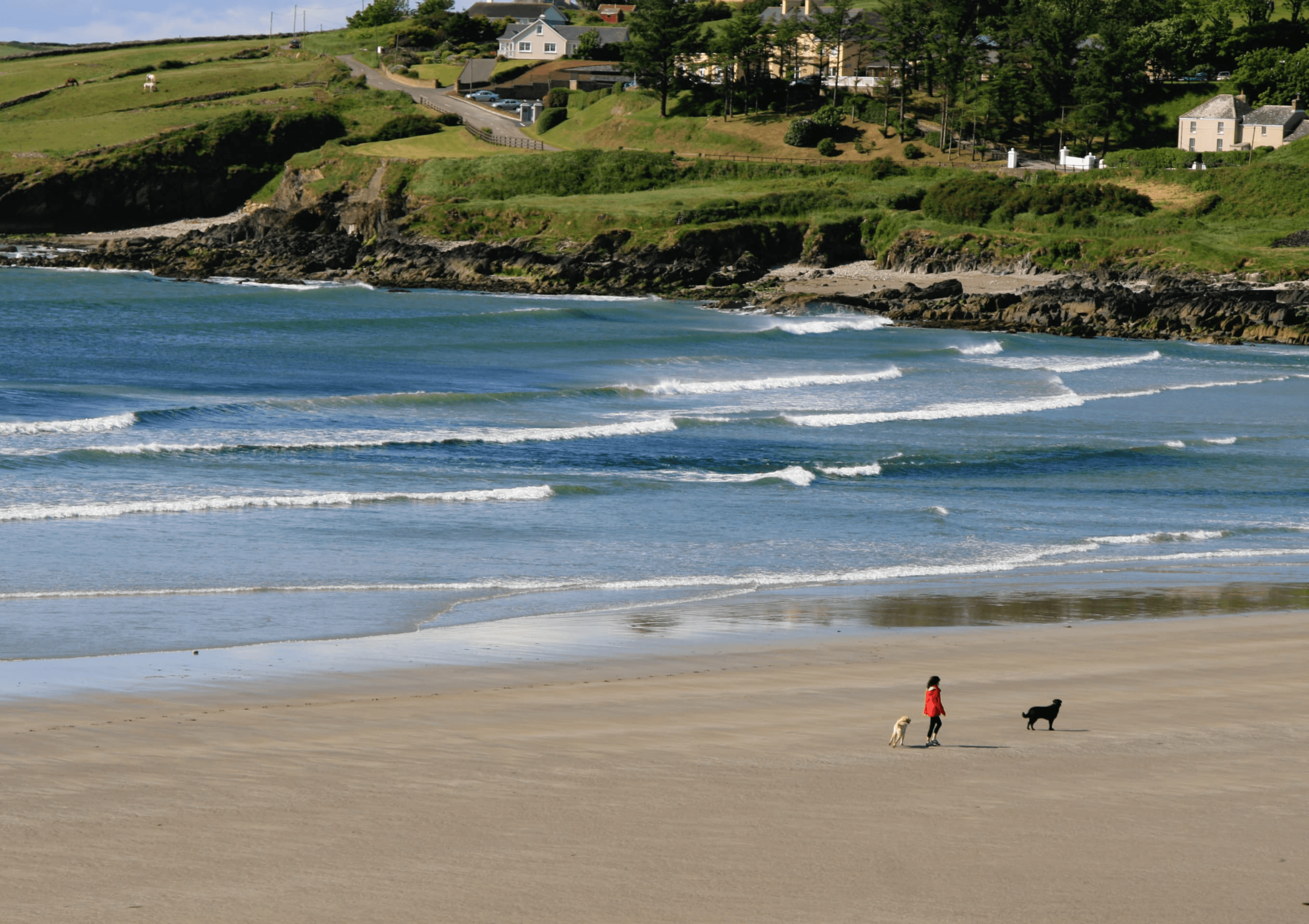 10 Best Things to See & Do in Clonakilty This Summer