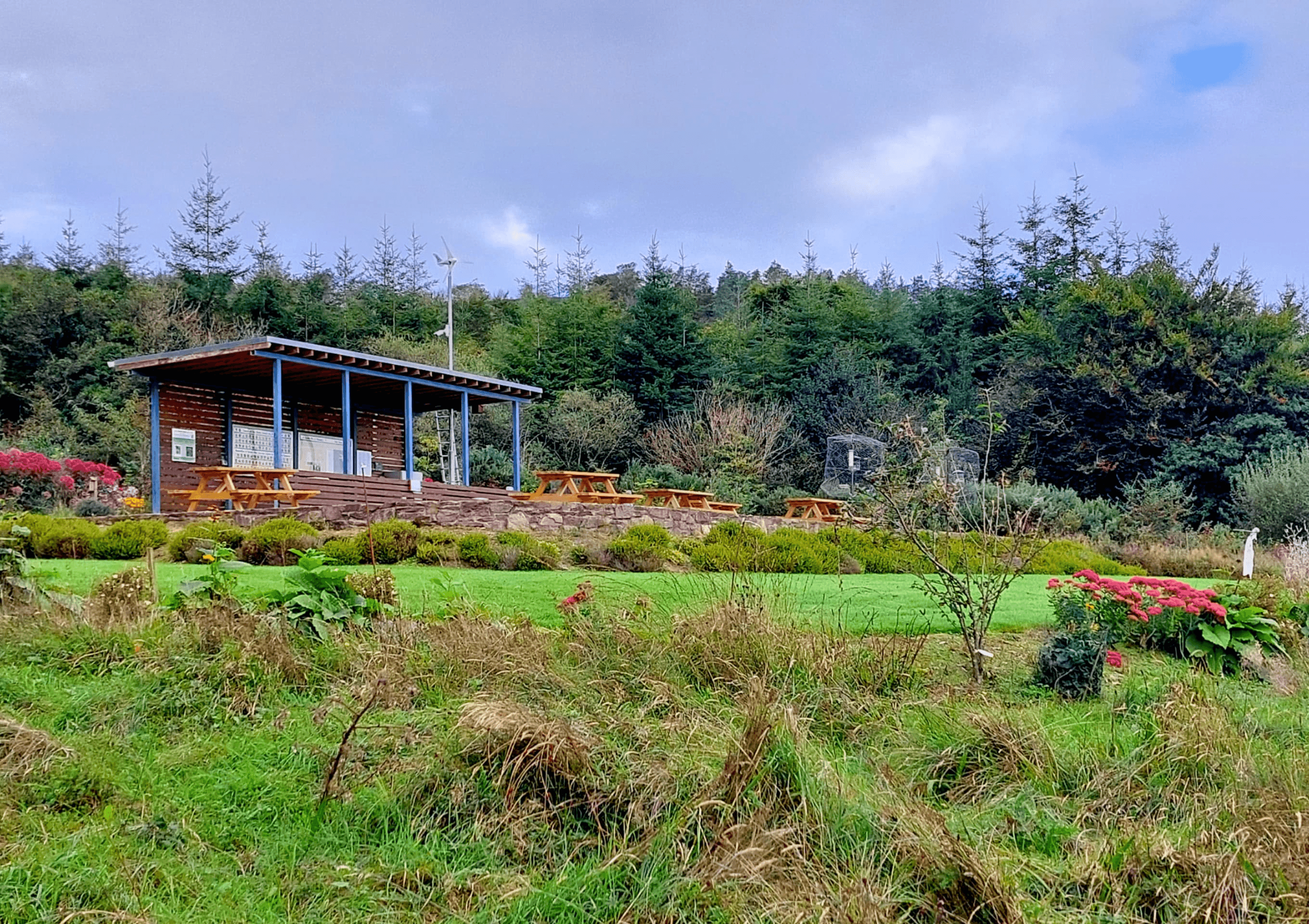 Corrin Nature Reserve: A Safe Haven for Wildlife in Fermoy