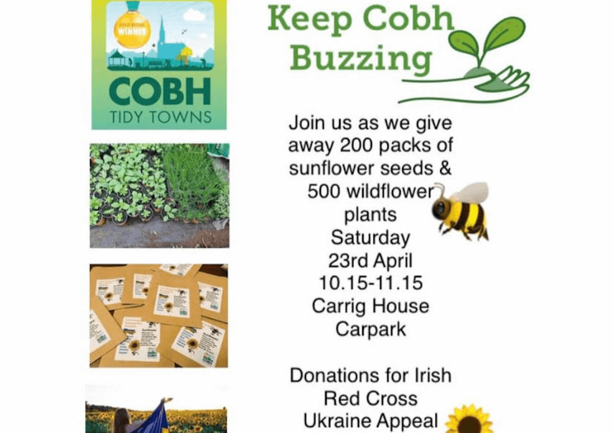 Cobh News update April 22nd