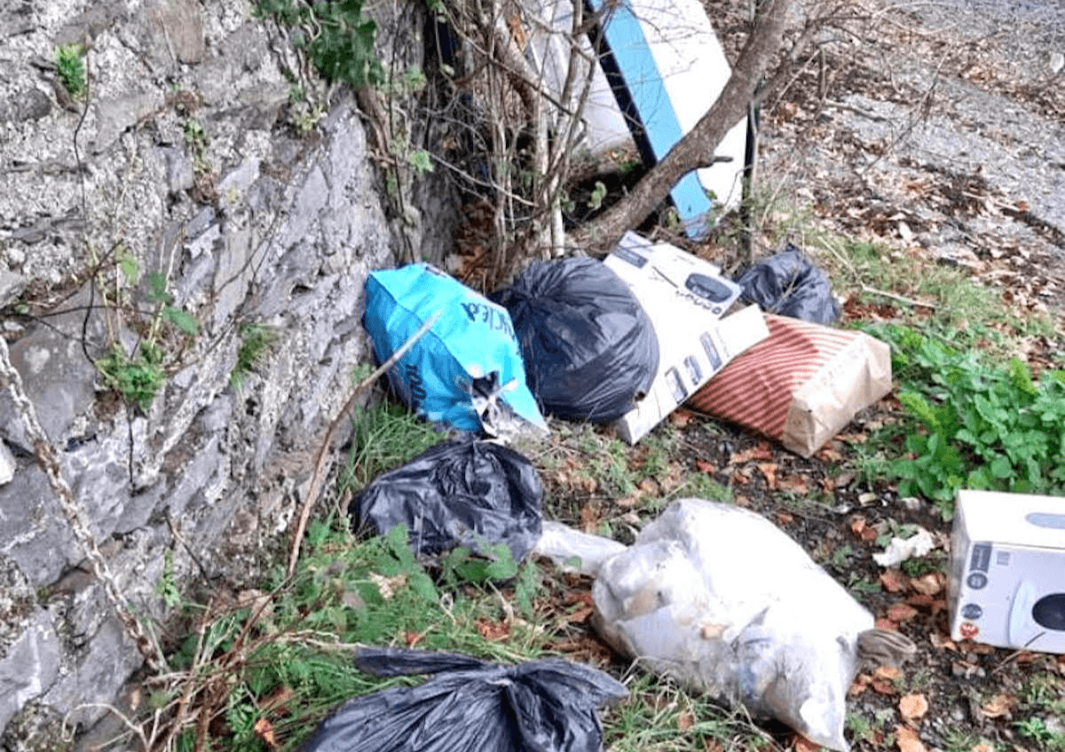 Cobh Tidy Towns — Illegal dumping undoing good work