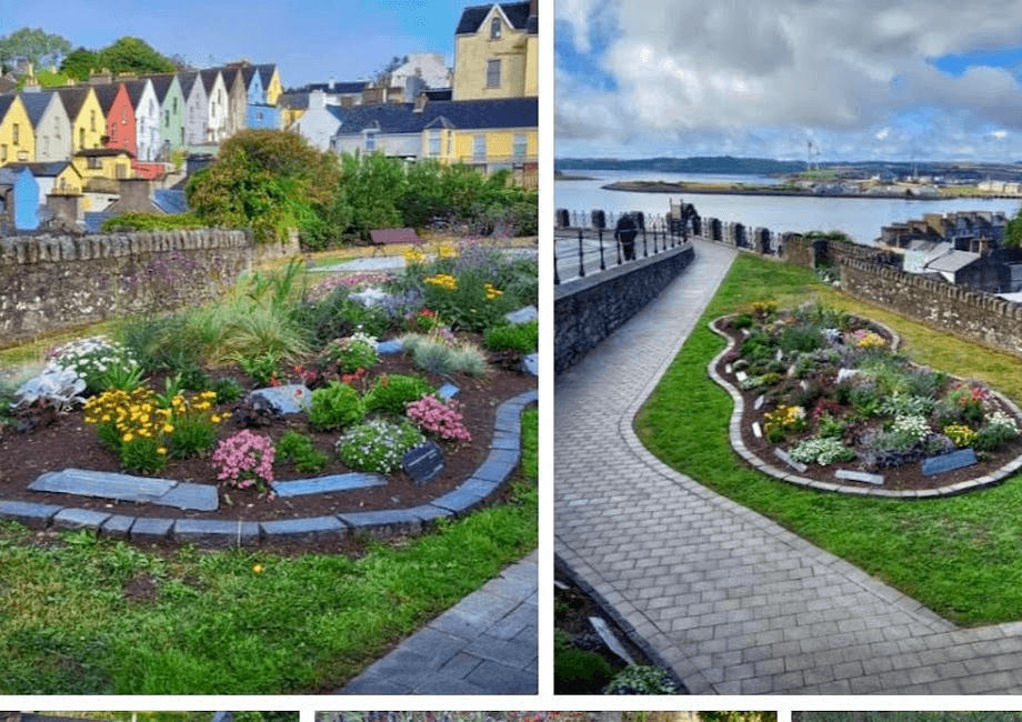 cobh and great island news August 25th