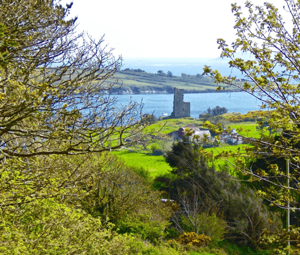 Fastnet Trails - Rossbrin Walk