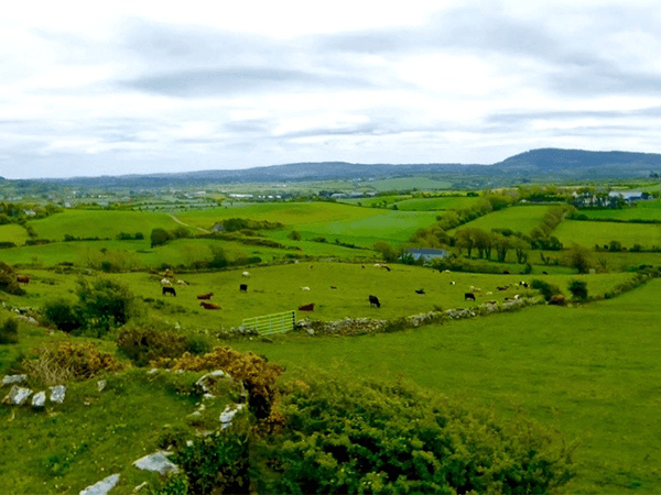 Fastnet Trails - Bechers Walk