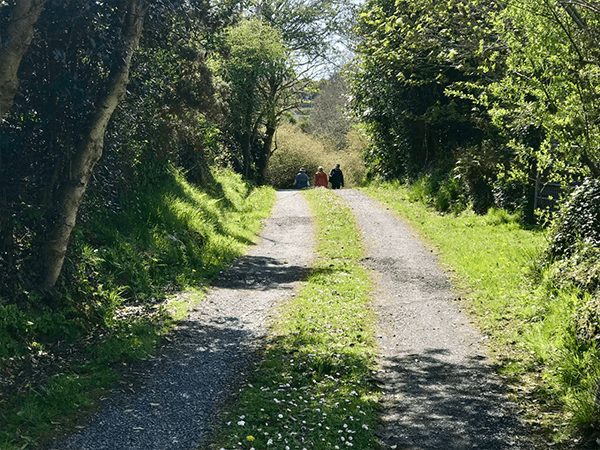 Fastnet Trails - Toormore Loop