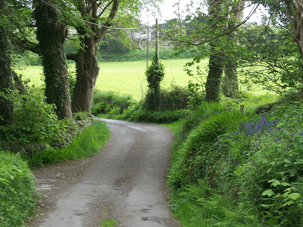 Fastnet Trails - Rock Walk