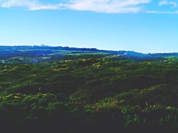 Bog of Frogs Loop, Howth