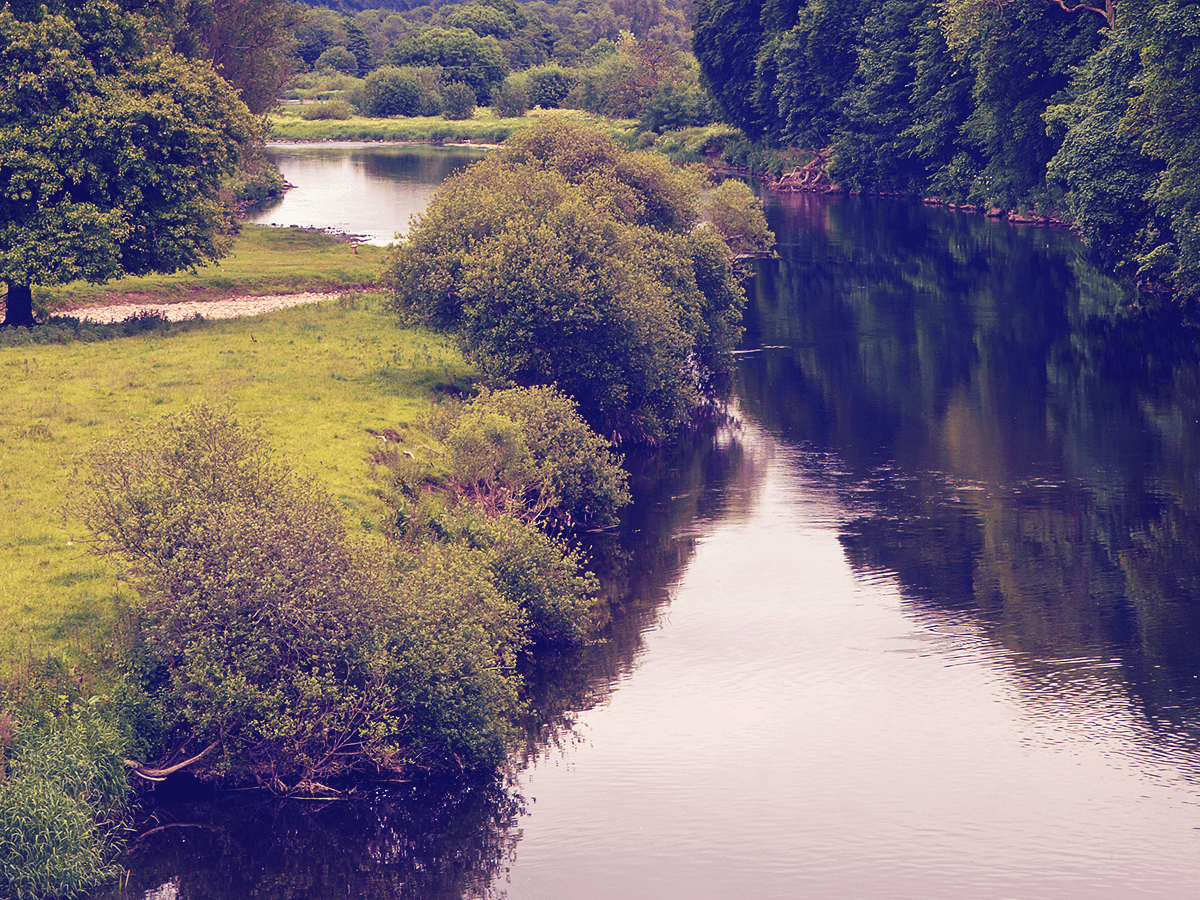 Blackwater Duntaheen Loop