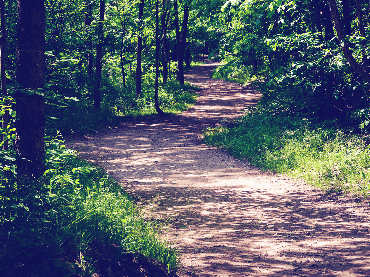 Glenabo Woods Trail