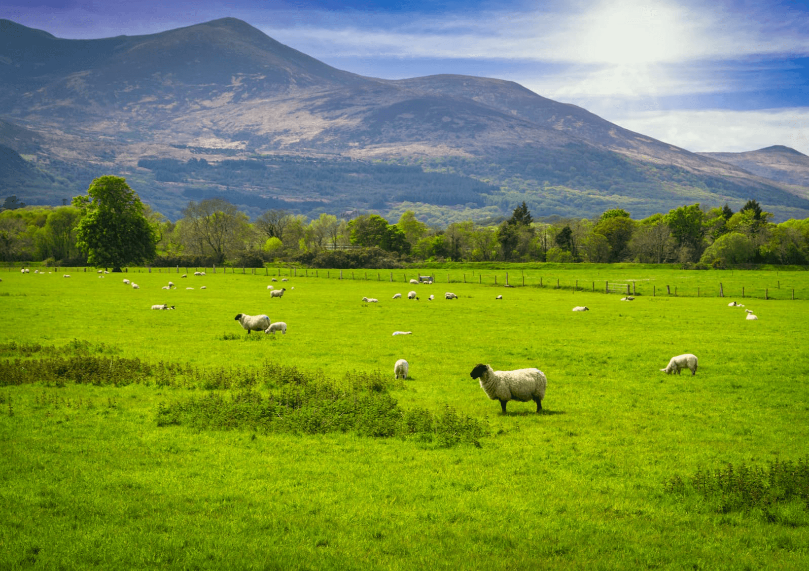 5 Picturesque Countryside Walks for Spring