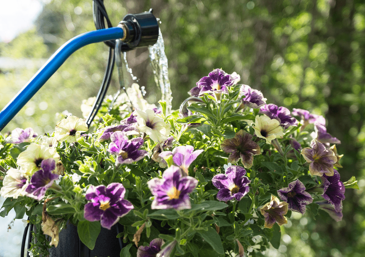 'Fermoy - A Cleaner Town' Reveals Outdoors Summer Plan for Businesses