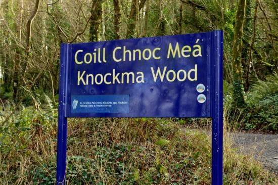 Knockma Hill Walk