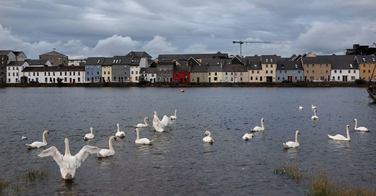 48 Hours in Galway