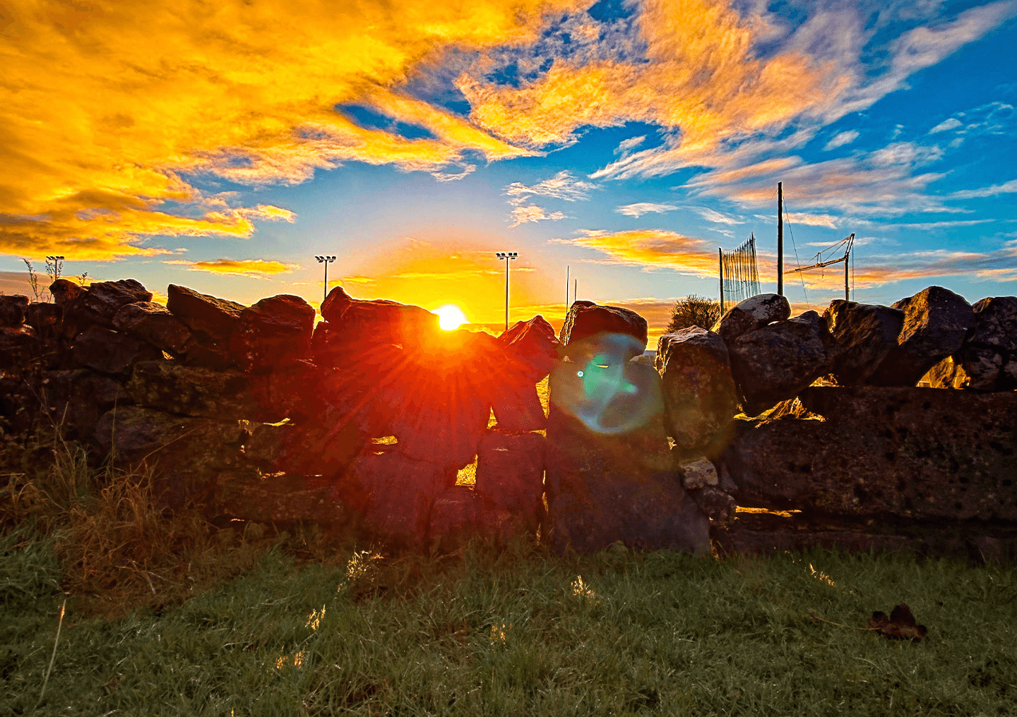 November: The Month We Forgot