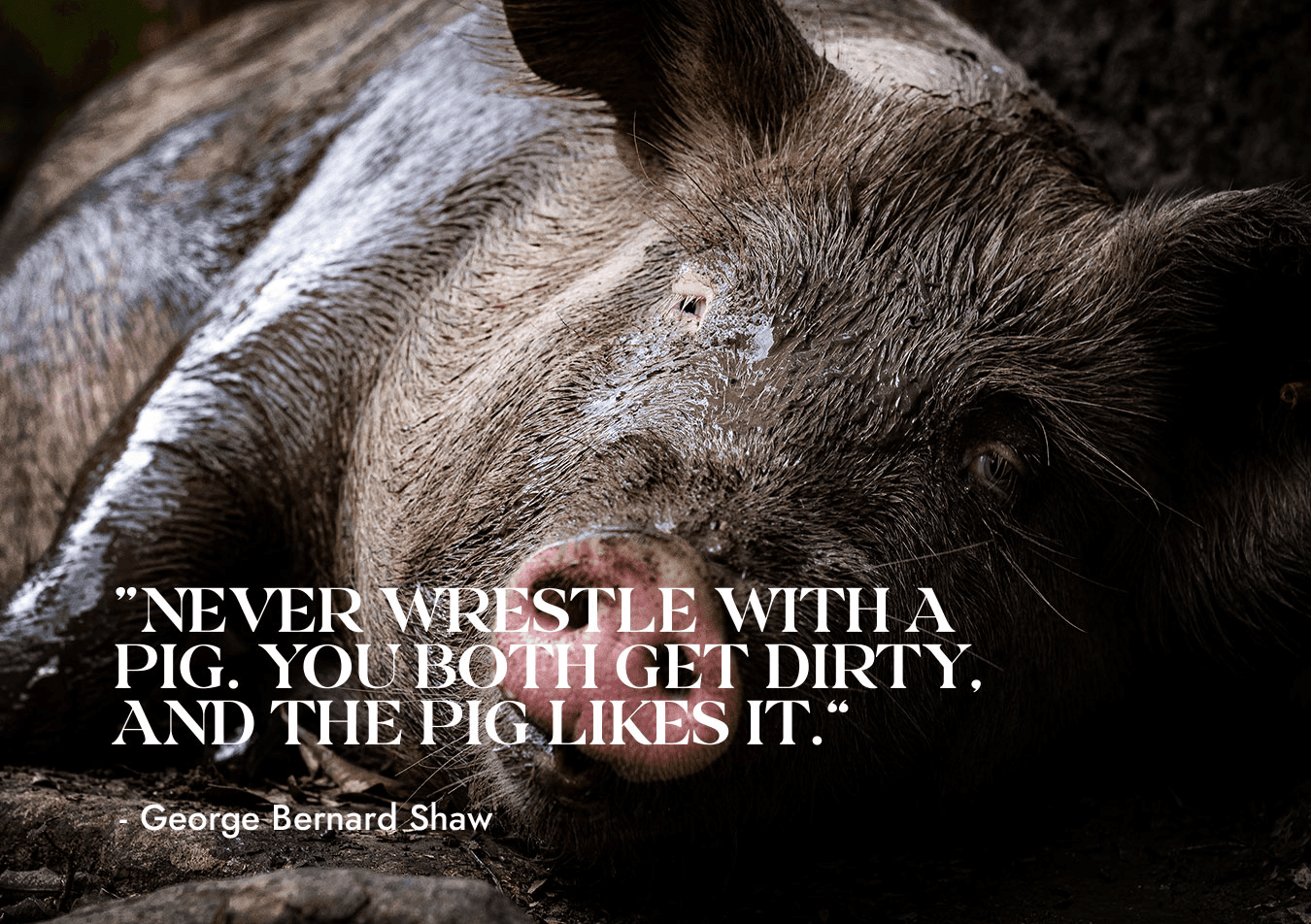 Digital Hygiene. Delete, Block, Ignore