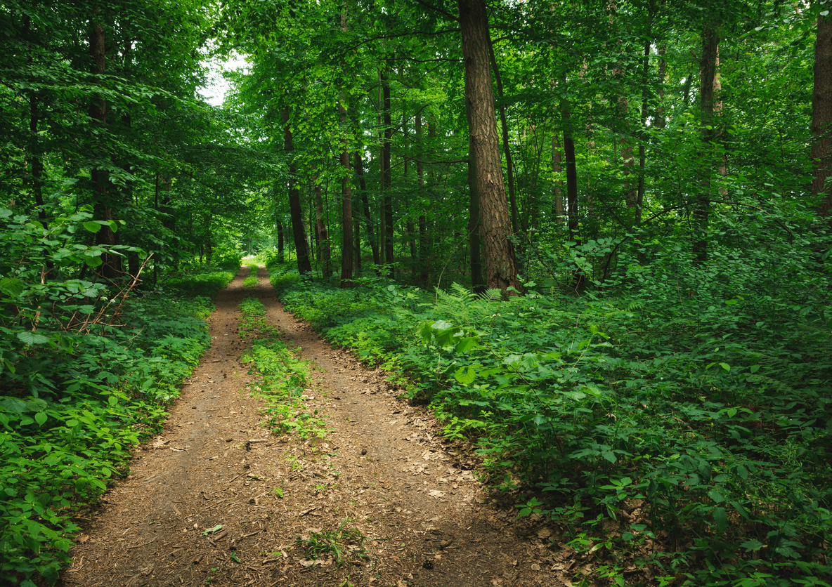 Freshford Loop