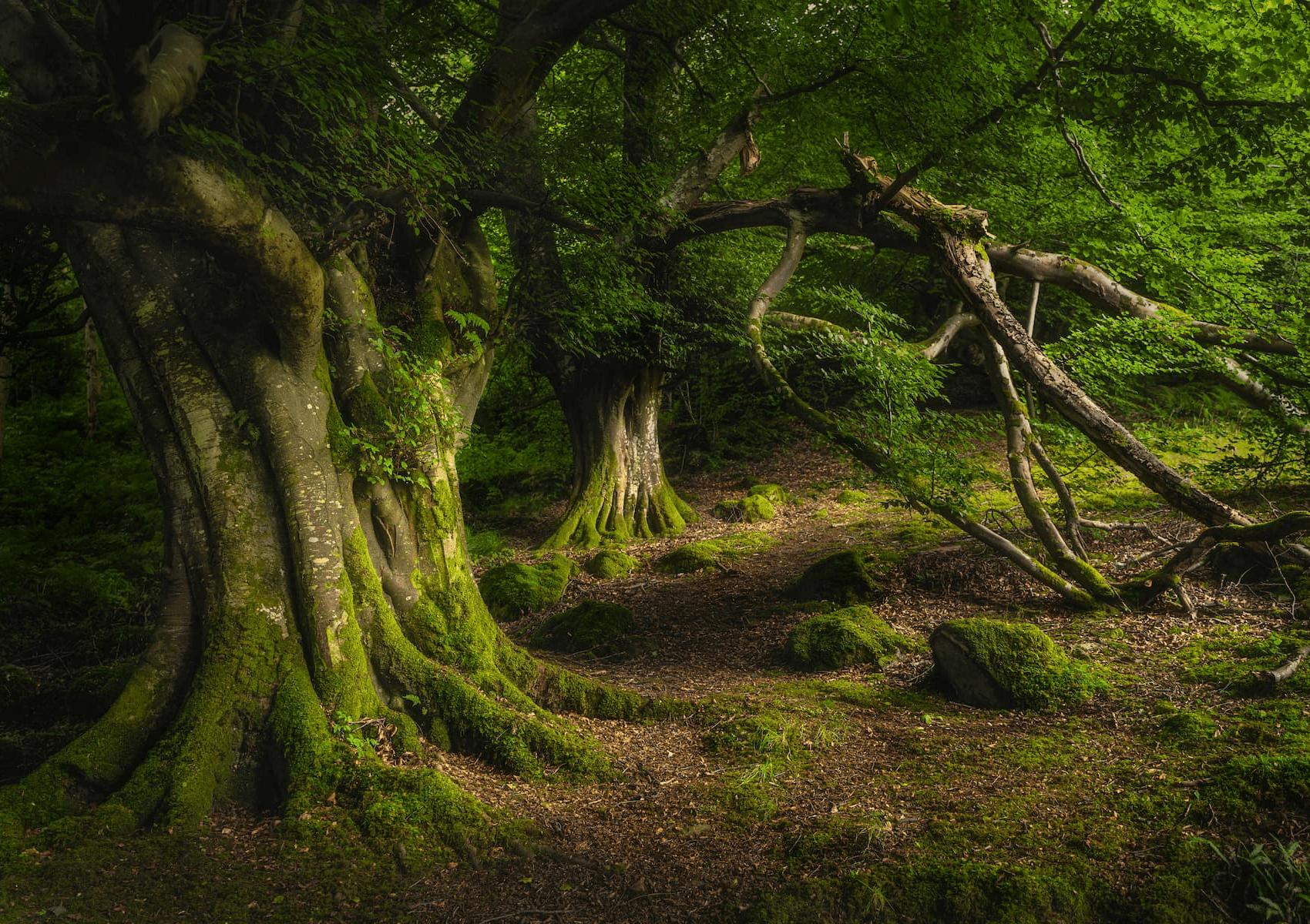 Windgap - Bearna Breac Loop