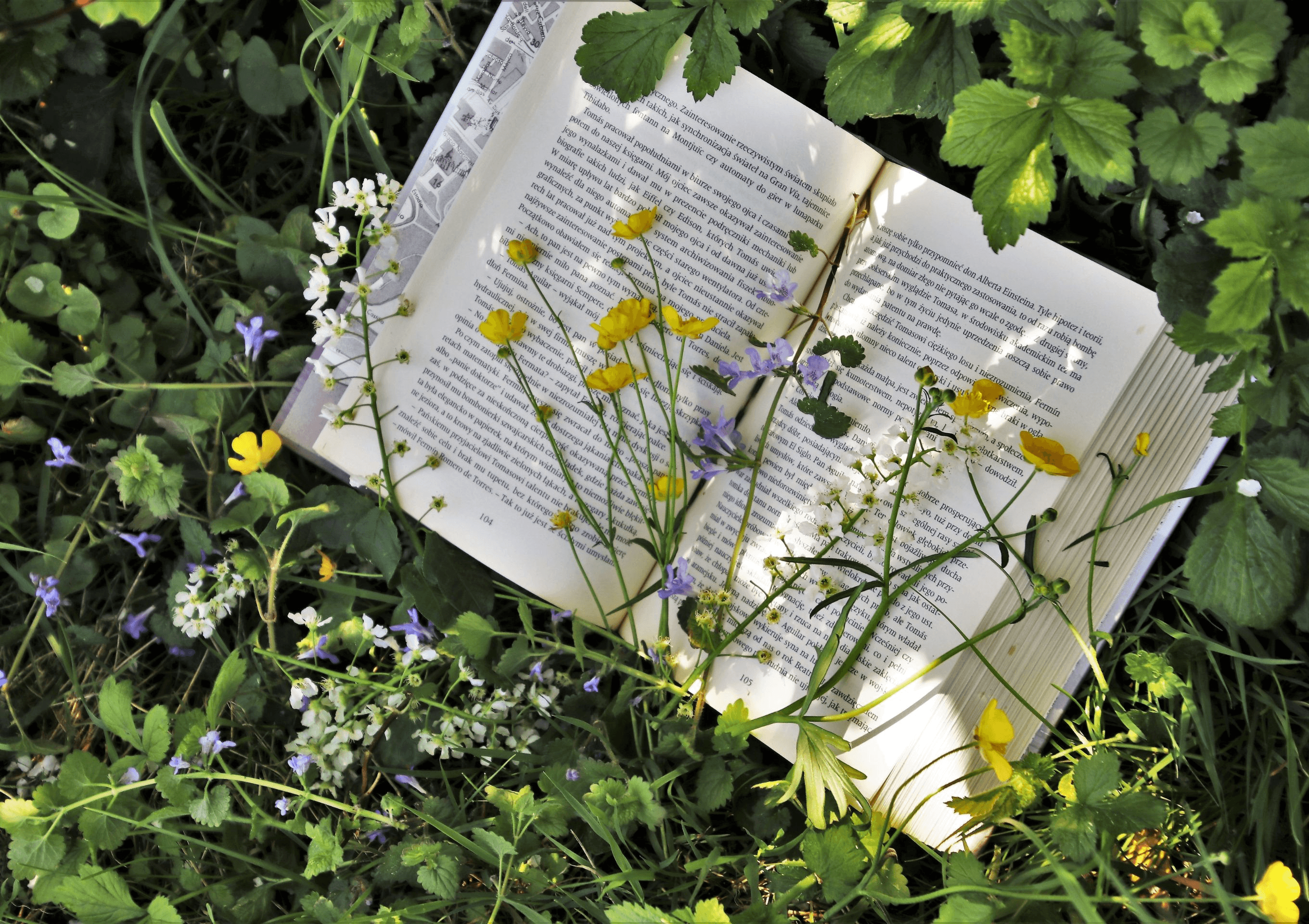 Learning And Creativity at Kilkenny Libraries This Saturday