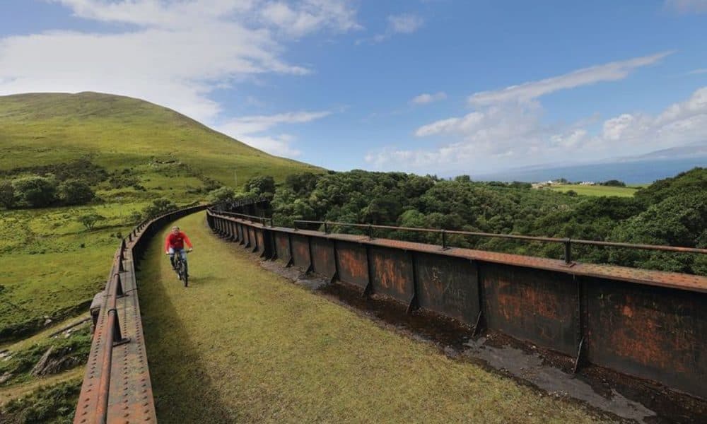 Ring of Kerry: The Golden Goose