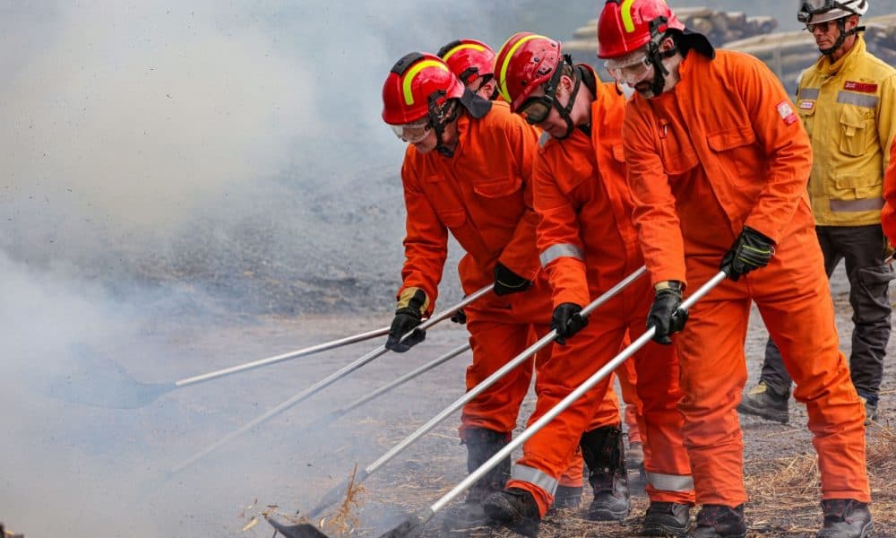 UK specialists train fire crews to prevent future Park devastation