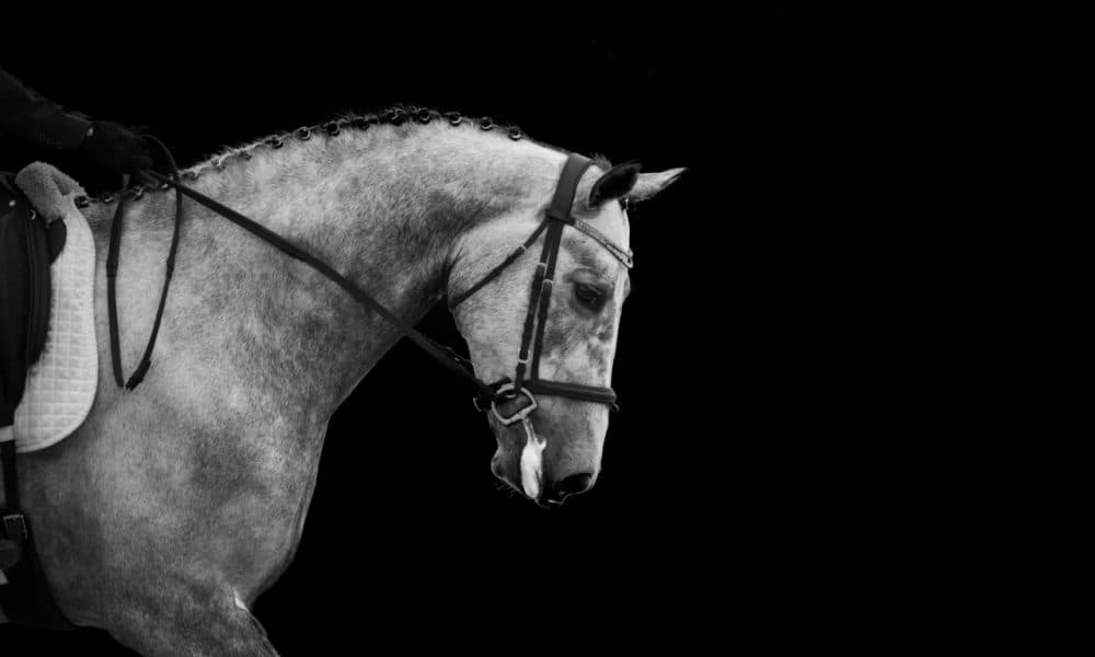 Katie wows with stunning monochrome image