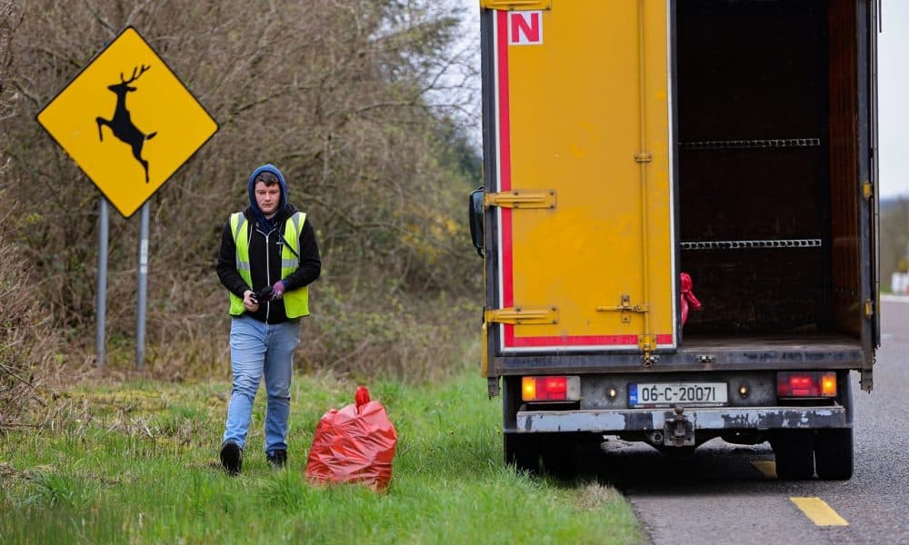 Thousands of volunteers take part in 11th annual County Clean-Up