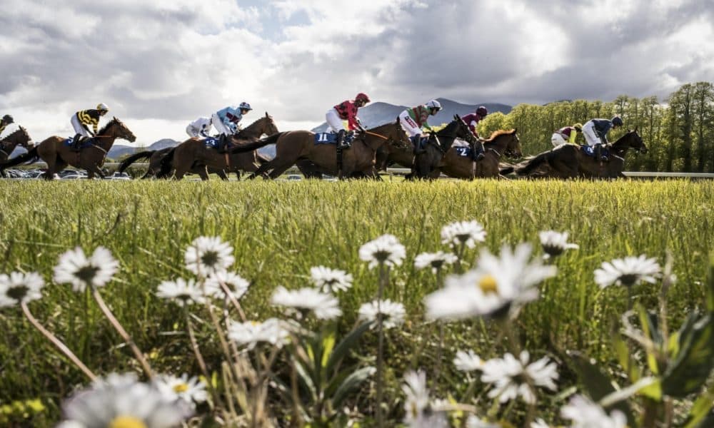 And they're off: 2,000 to attend this weekend's races 