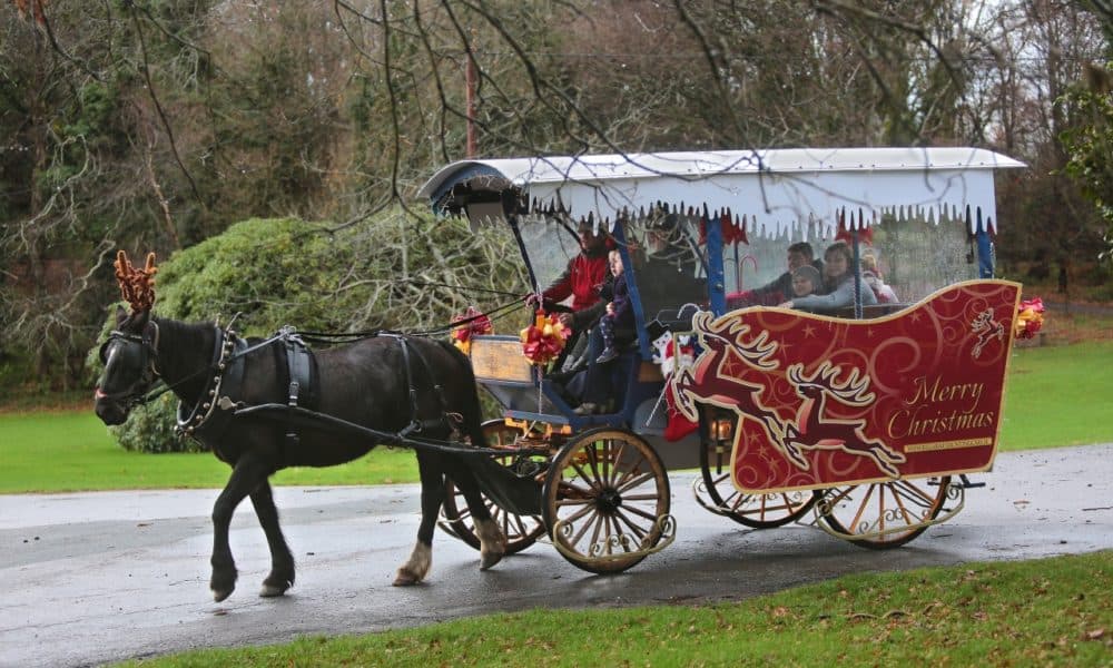 Sleigh bells are almost ready to ring in town!