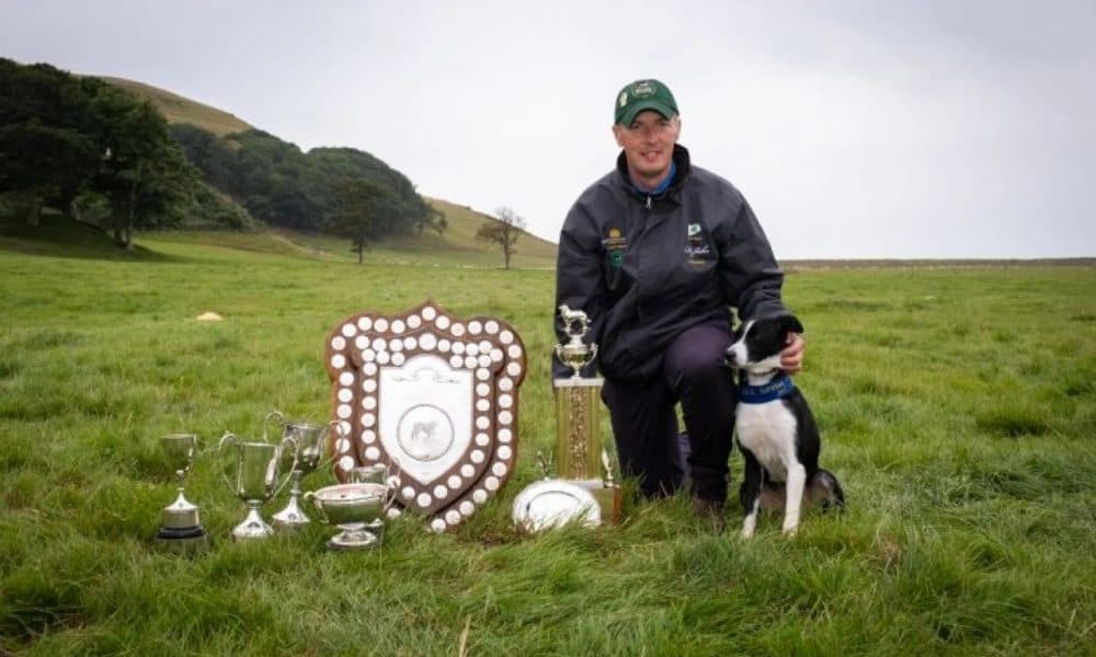 Killarney man wins most-coveted trophy in sheepdog trials