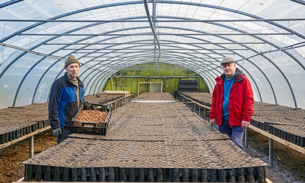 Over 30,000 acorns gathered in Killarney National Park