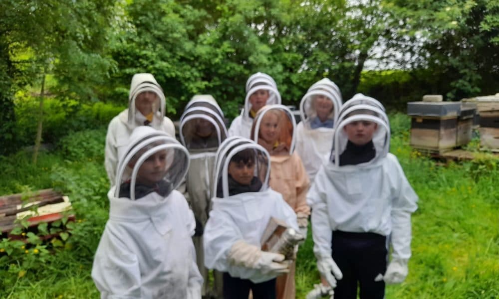 Children were buzzing after bee visit