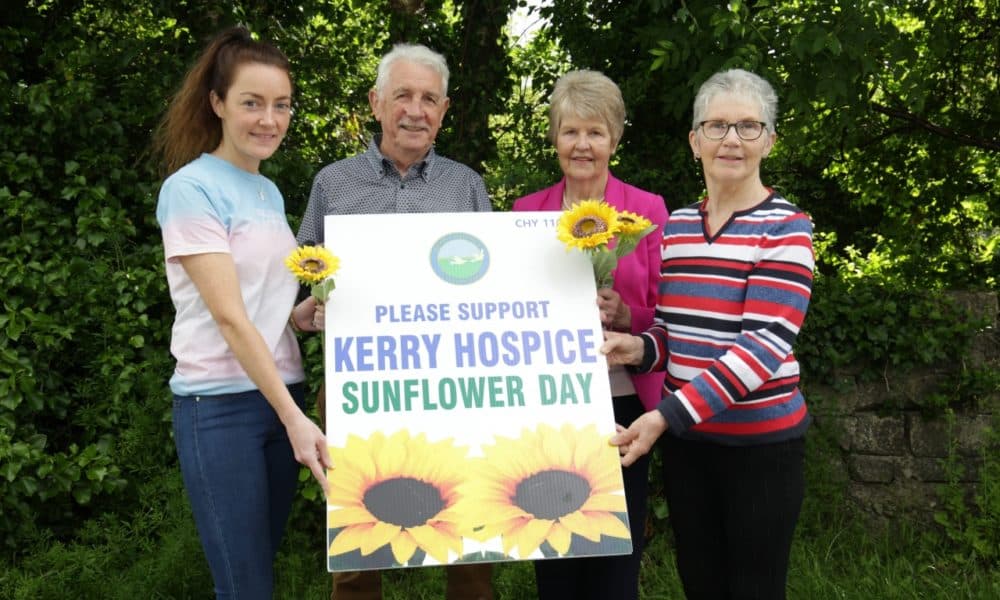Sunflower collection is back and locals asked to dig deep