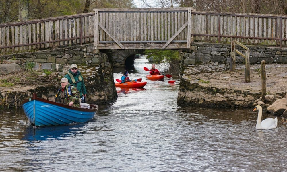 Annual anglers event raises €15k for charities