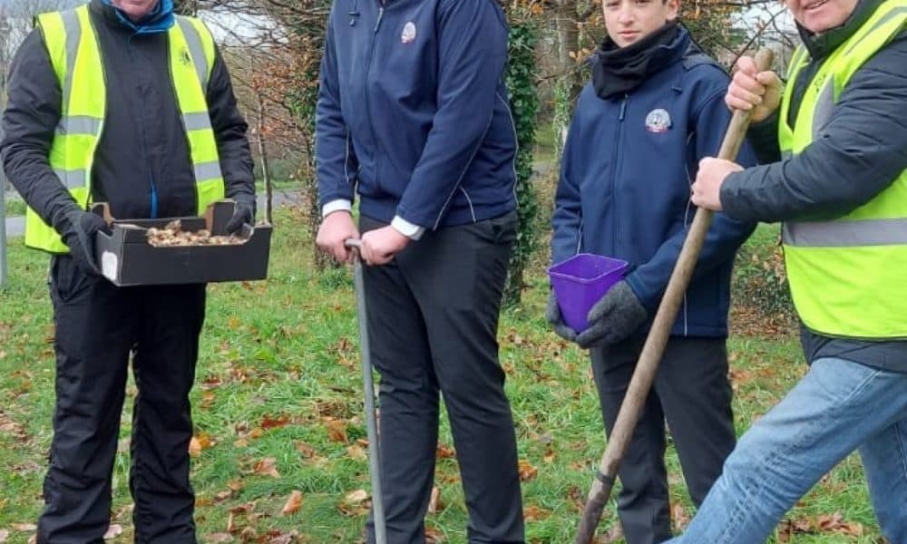 Transition Year students plant 2,000 bulbs