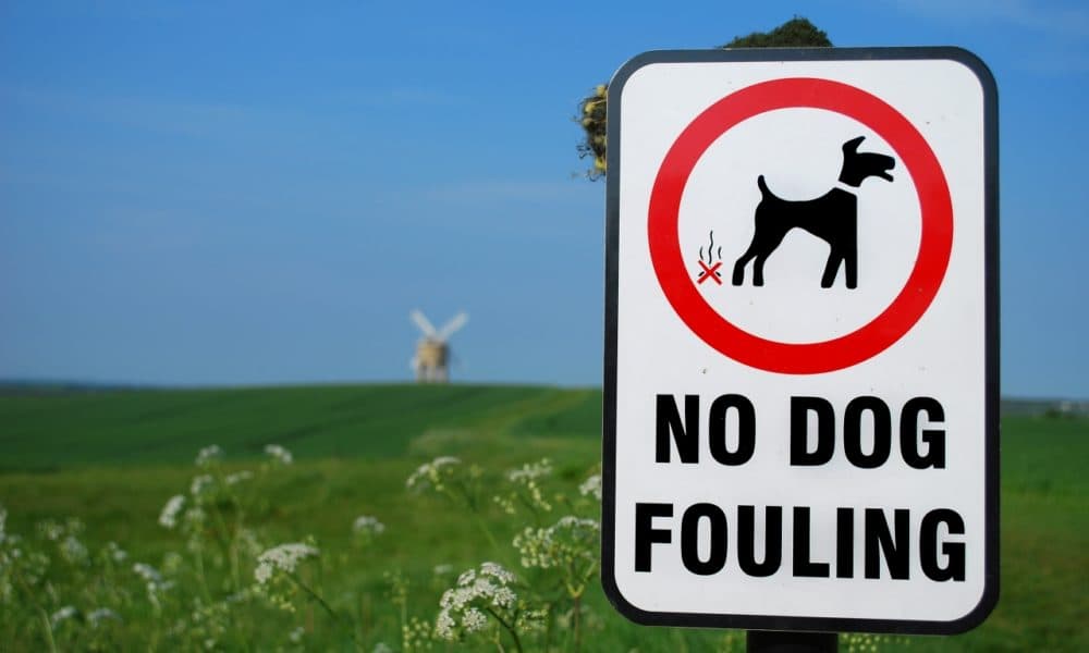 Dog fouling is “a serious issue” say councillors