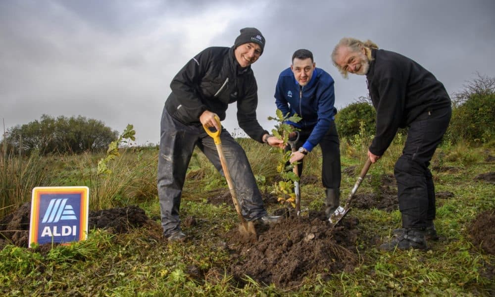 Almost 24,000 trees planted to mark opening of new Kerry stores