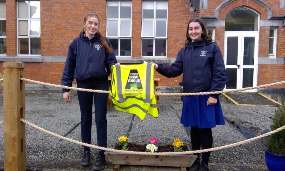 Students' cattle rearing project makes national final