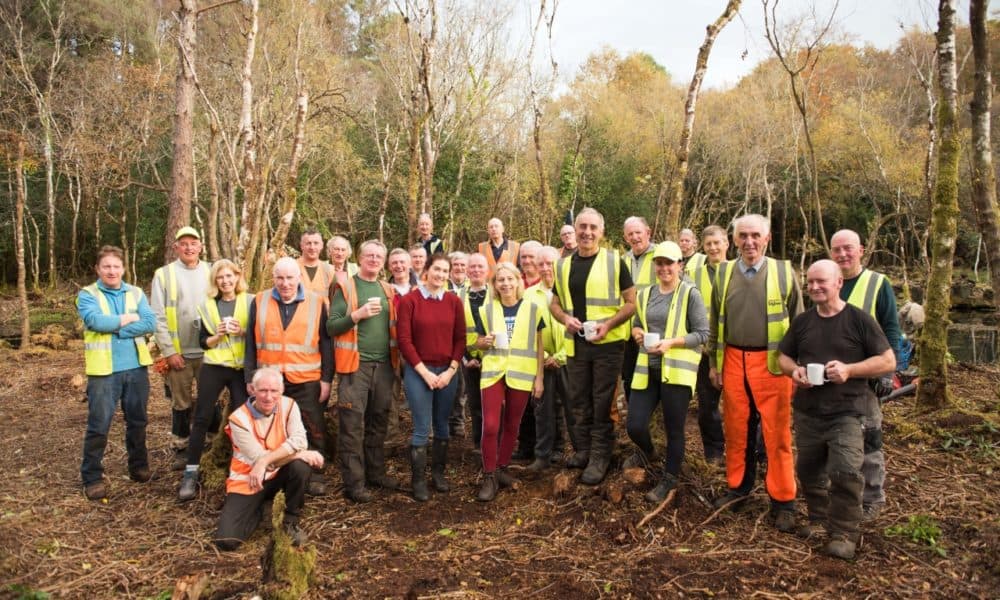 Wildfires set rhododendron control back by 40 years