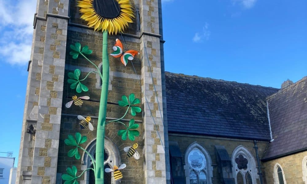 Killarney sunflower shows solidarity with Ukraine