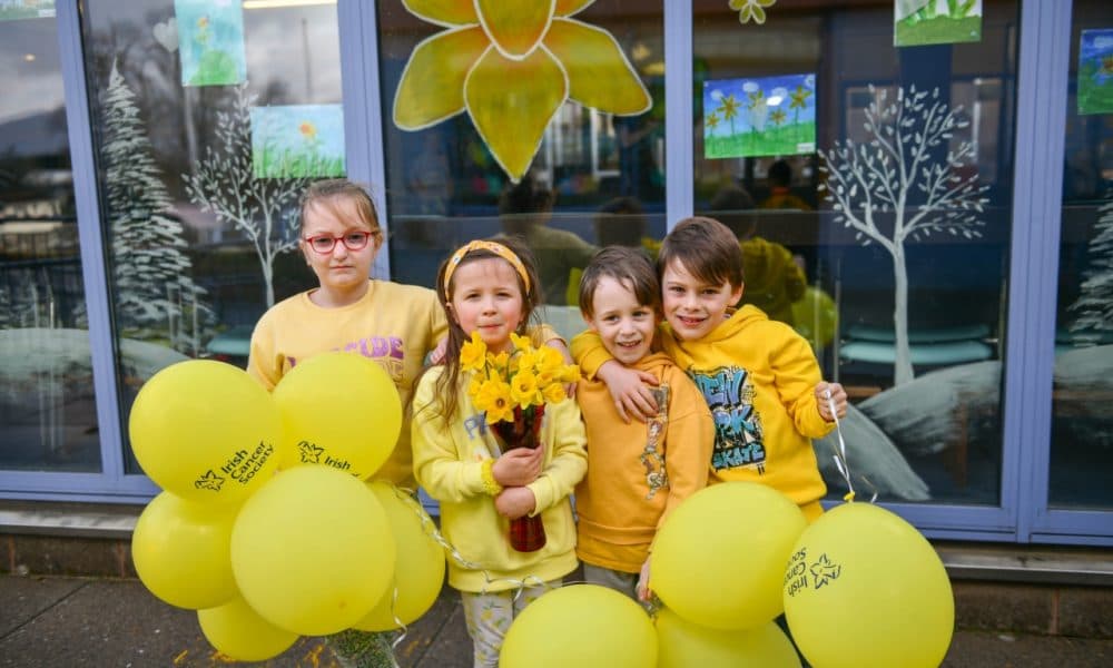 Daffodil Day at Holy Cross Mercy School