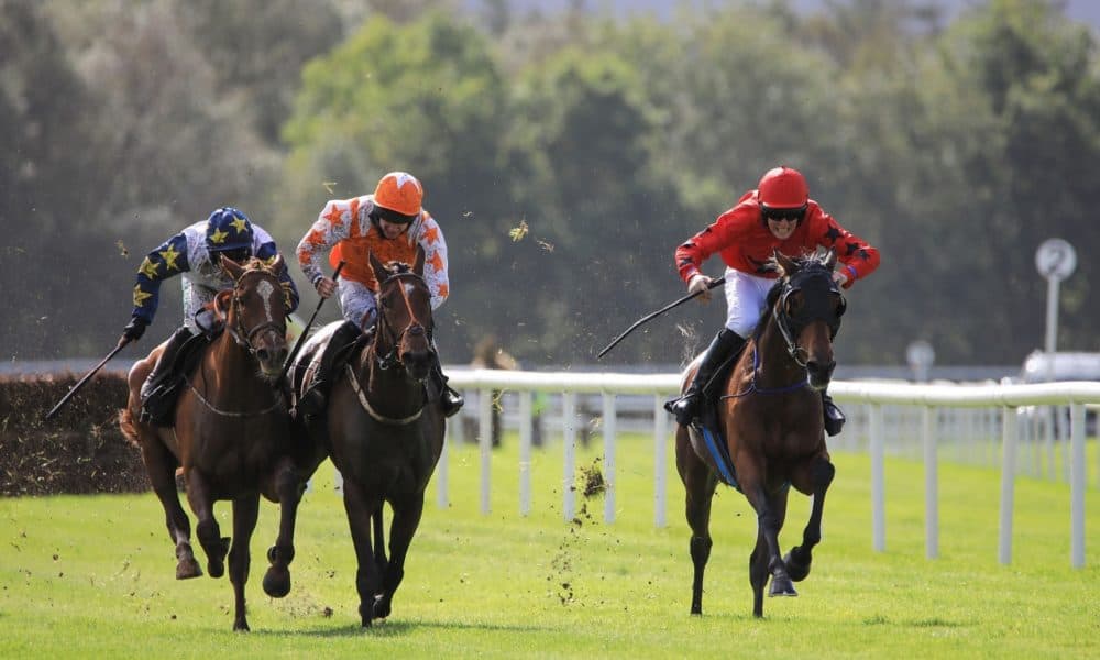 Punters have fun and a few flutters at Killarney Races