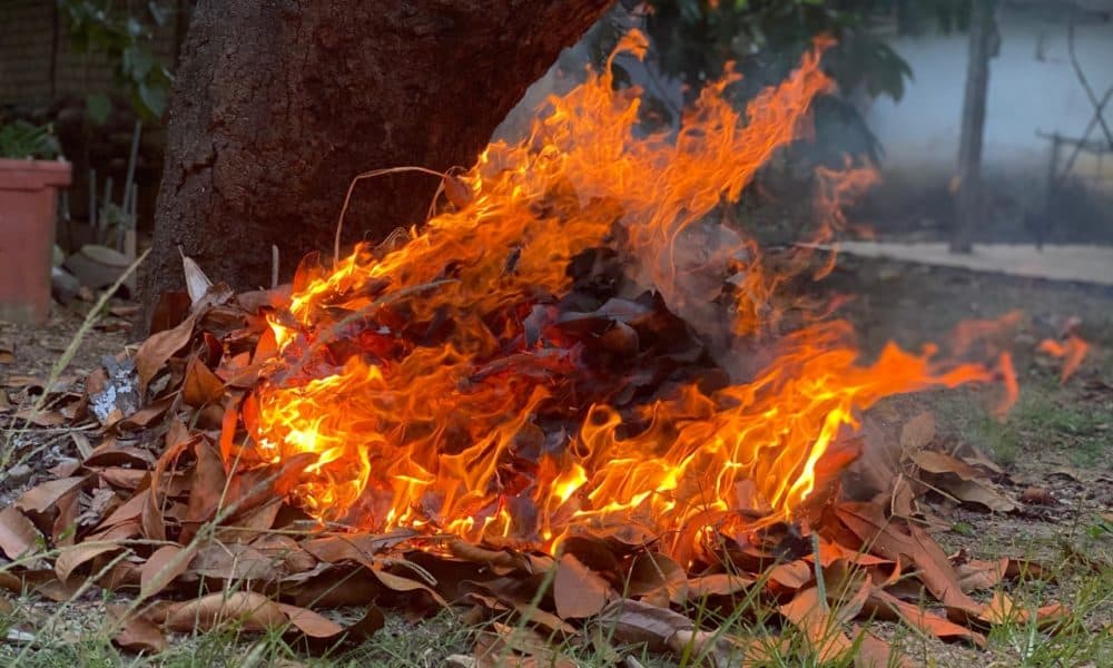 Know Your Rights: Burning Household Waste