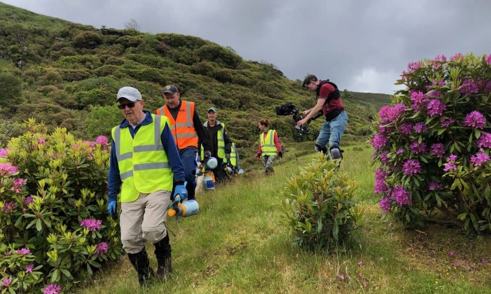 Killarney volunteers hit movie screens around the world