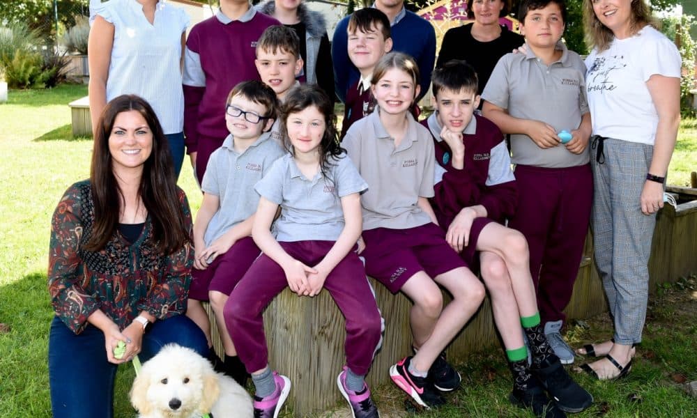 Fossa's new furry friend is helping pupils