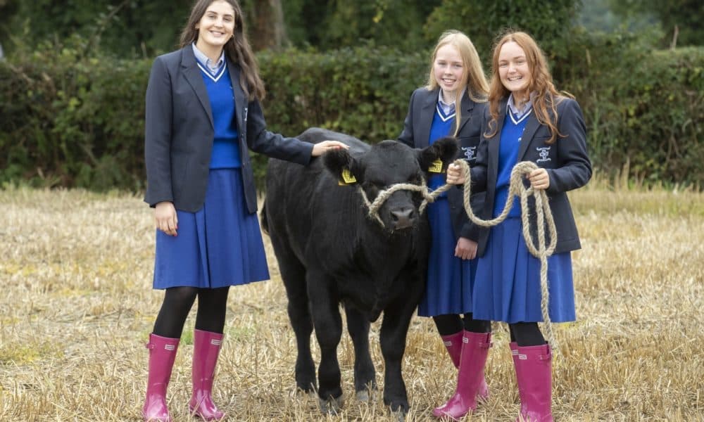 Students named finalists in national agri competition