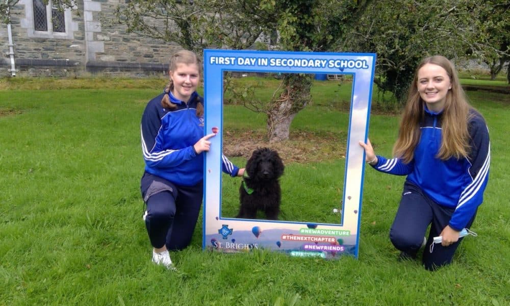 Therapy dog begins first day of school